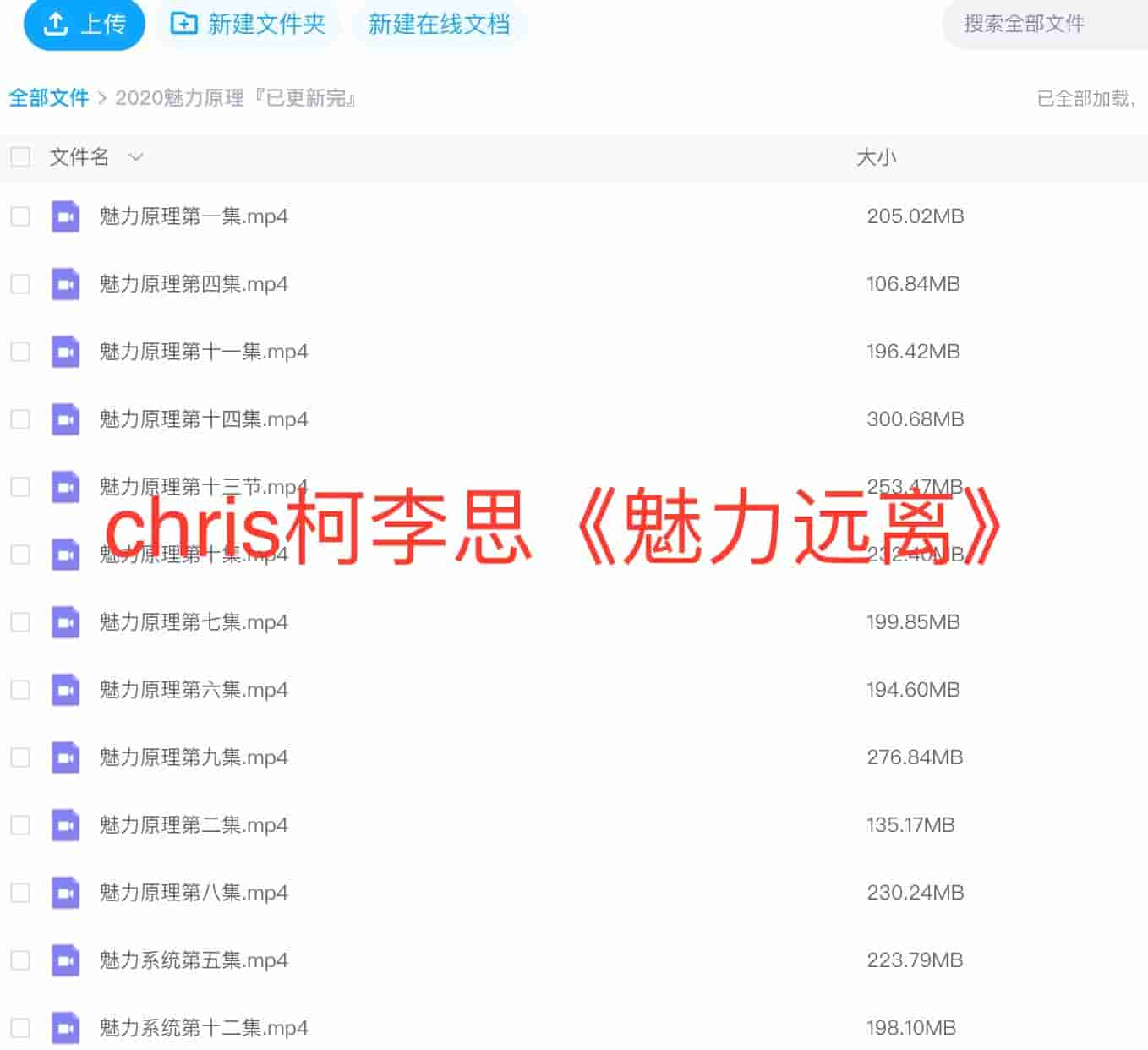 chris柯李思《2020魅力原理》