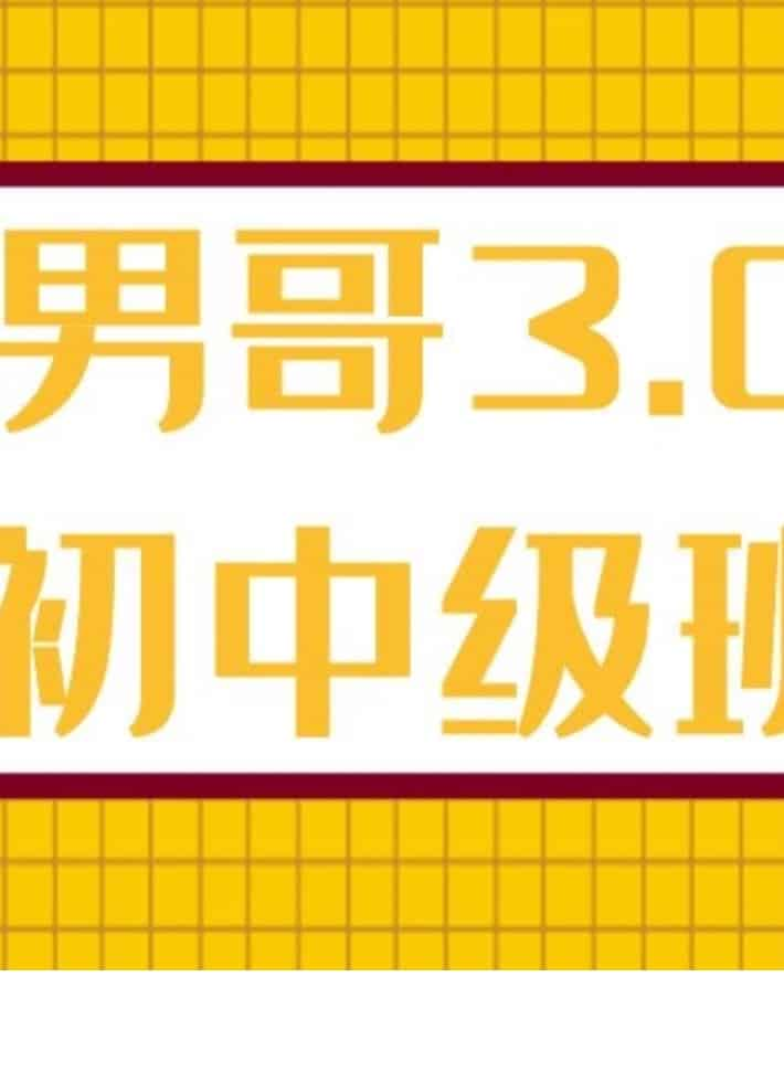 男哥3.0初中级班微信群内部课