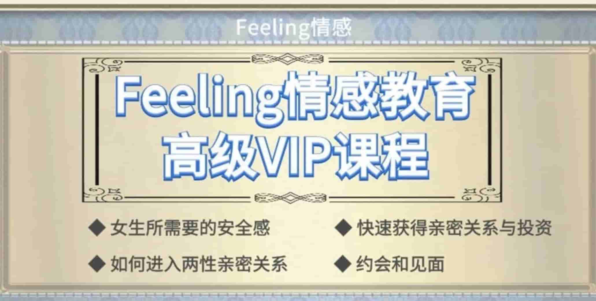 Feeling情感学院《高级VIP网络课程》