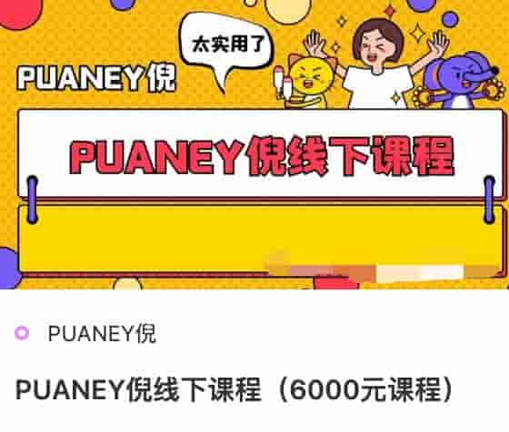 PUANEY倪6000线下课程