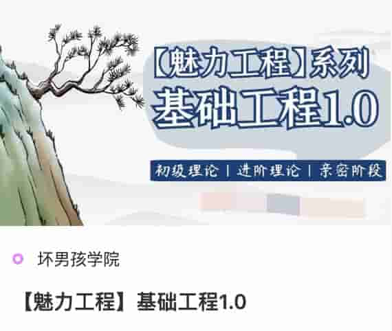 坏男孩魅力工程《基础工程1.0》