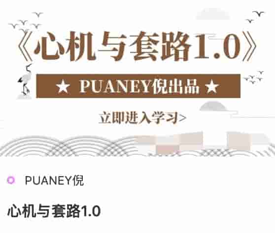 PUANEY心机与套路1.0