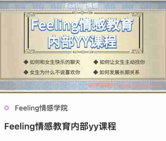 Feeling情感教育内部yy课程.jpg