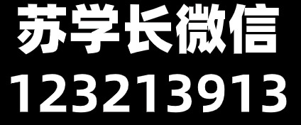 _恋爱课代表苏学长